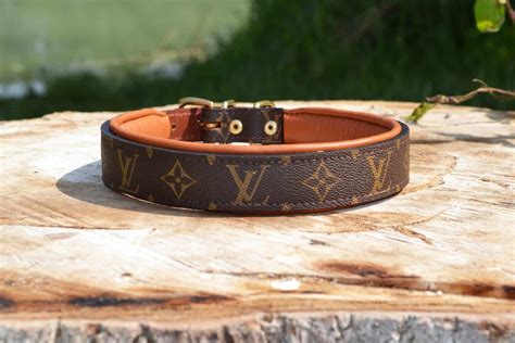 small dog lv dupe collar